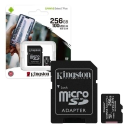 Micro SD 256gb Kingston